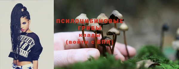 гидра Волоколамск