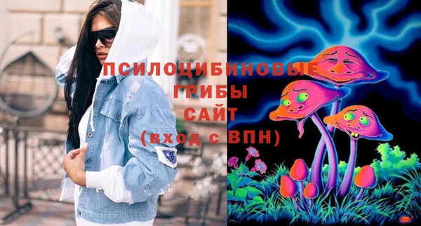 дурь Горняк