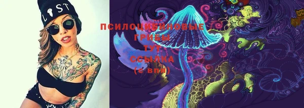 альфа пвп Горно-Алтайск