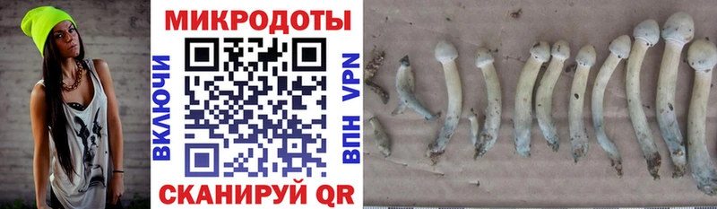 Галлюциногенные грибы мицелий  купить наркотик  Заполярный 